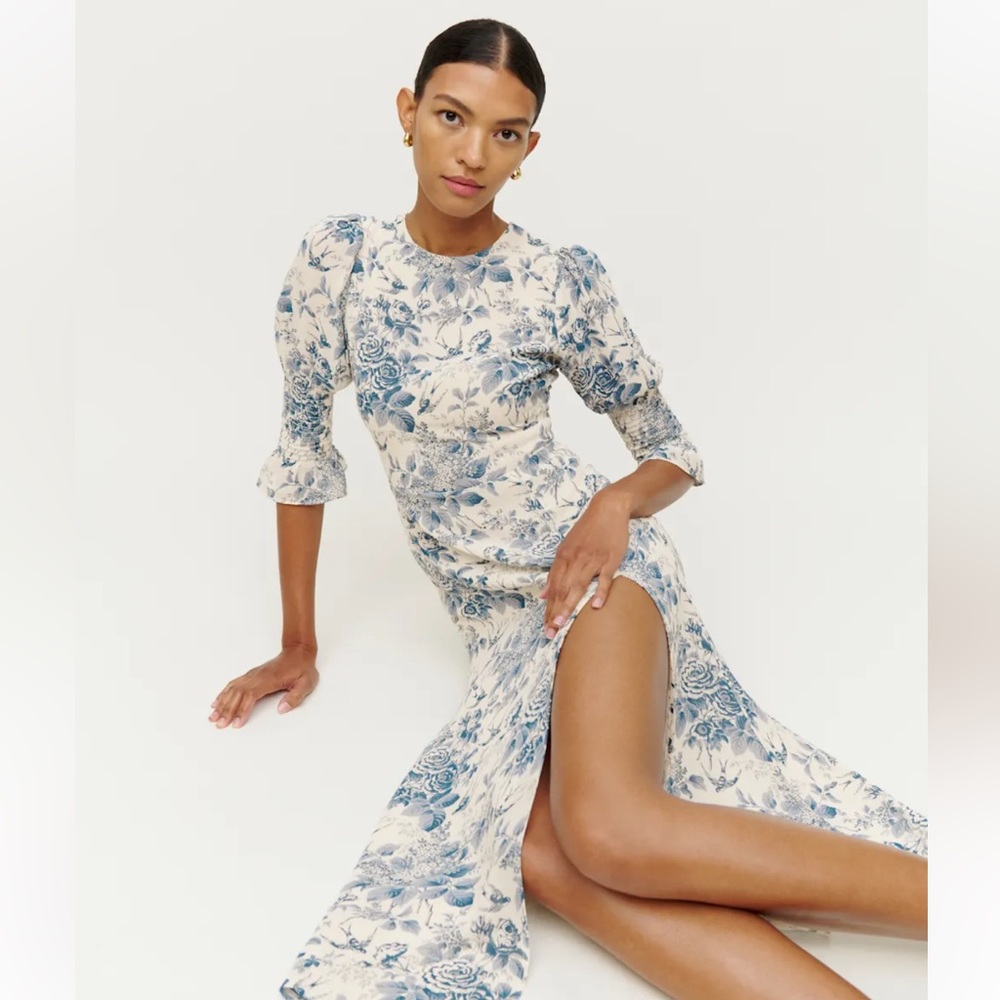 Reformation Carolena Dress in Pompadour, Blue and White Floral Long Sleeve